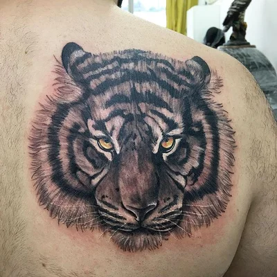 Simbiose Tattoo tattoo 050