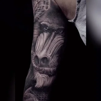 Simon Bravo tattoo 030