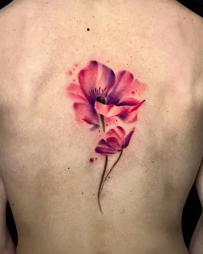 Simon Sock tattoo 033