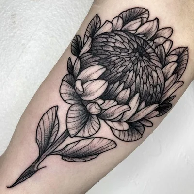 𝔖𝔦𝔫𝔞𝔥 tattoo 023