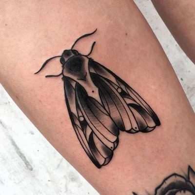 𝔖𝔦𝔫𝔞𝔥 tattoo 039