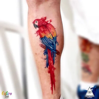 Fabio Skavinsk tattoo 050