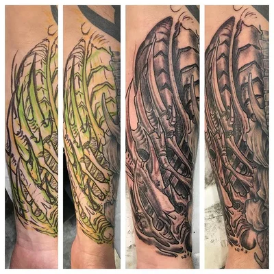 Skelly tattoo 036