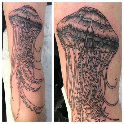 Skelly tattoo 042