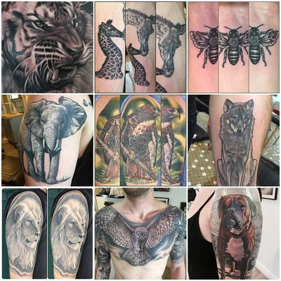 Iggy Tattoo tattoo 024