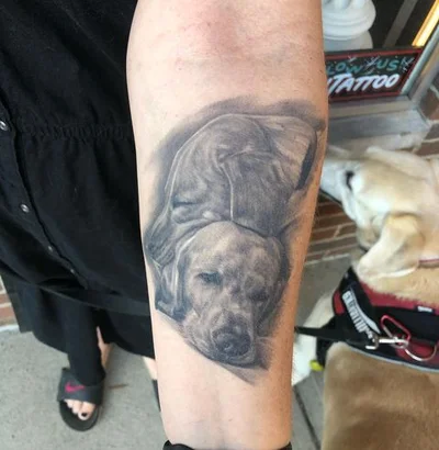 Iggy Tattoo tattoo 050