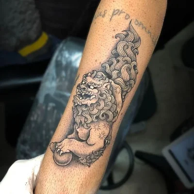 Skink Flash tattoo 037