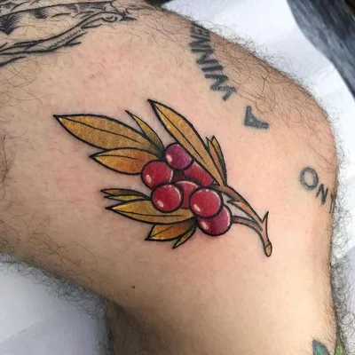 Skink Flash tattoo 048