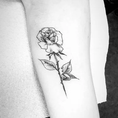 Snakebite tattoo 009