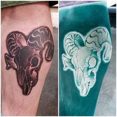 Snakebite tattoo 011