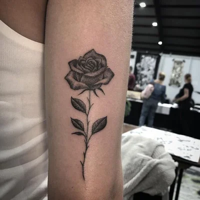 Alex Snelgrove tattoo 049