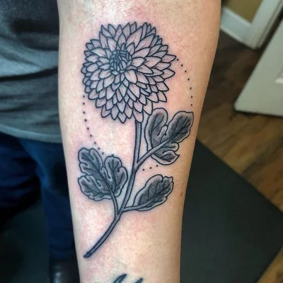 Spencer/Sock tattoo 048