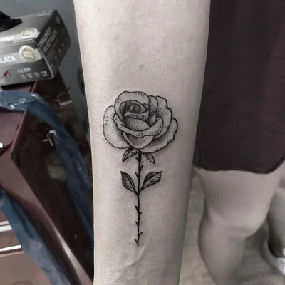 Sonar1091 tattoo 017