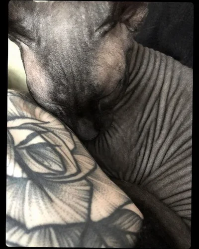 Sophie Brown tattoo 043