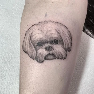 Spread Eagle Tattoo tattoo 050