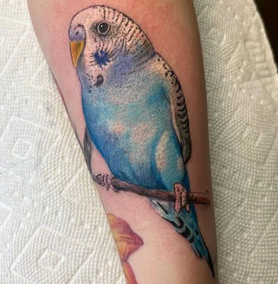 Chris Spuglio tattoo 018