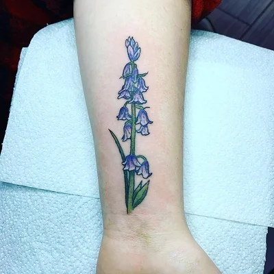 Squid Shock Tattoo Co tattoo 007