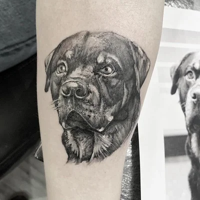 Squid Shock Tattoo Co tattoo 040
