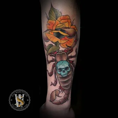 Bence tattoo 016