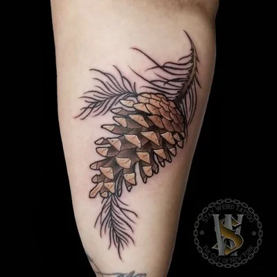 Bence tattoo 030