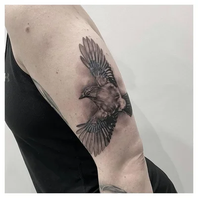Ste Pemberton tattoo 037