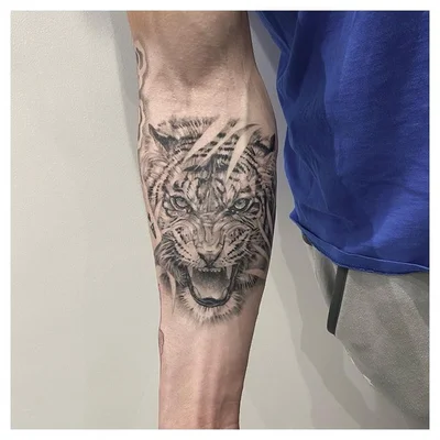 Ste Pemberton tattoo 038