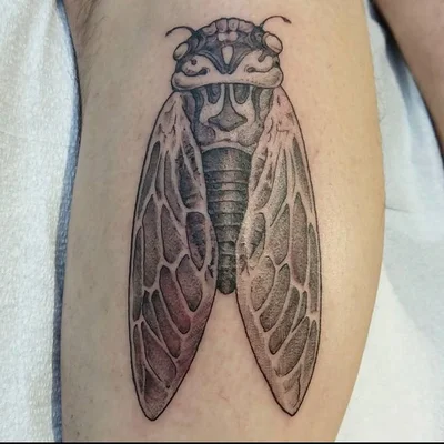 Steady Tattoo tattoo 020