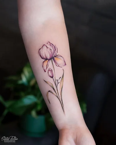 Stella tattoo 015