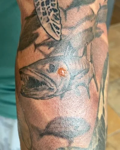 Steve Neff tattoo 035