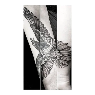 Steve Styles tattoo 014