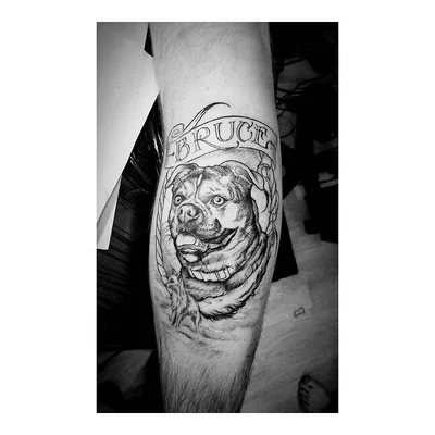 Steve Styles tattoo 016