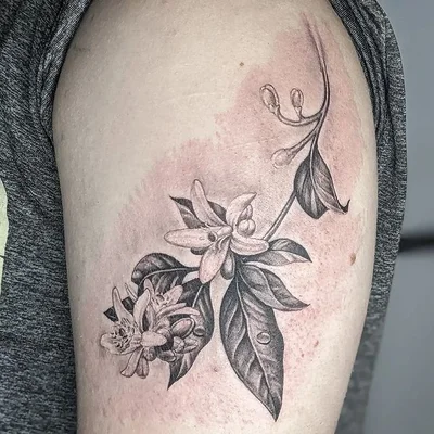 Steve Styles tattoo 043