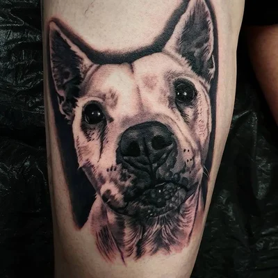 Steve Upton tattoo 029