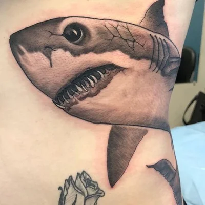 Steve Cacioppo tattoo 008