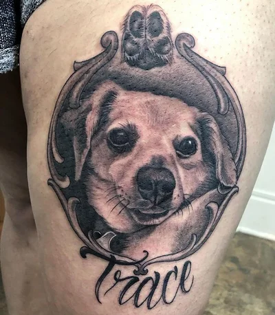 Steve Cacioppo tattoo 029