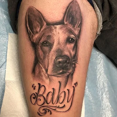 Steve Cacioppo tattoo 036