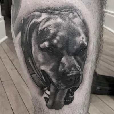Steve Cacioppo tattoo 045