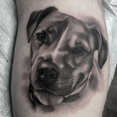 Steve Cacioppo tattoo 047