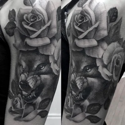 Steve Cacioppo tattoo 048