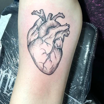 𝕾𝖙𝖗𝖆𝖘𝖘𝖊𝖓𝖋𝖆𝖗𝖇𝖊 tattoo 013