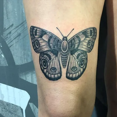 𝕾𝖙𝖗𝖆𝖘𝖘𝖊𝖓𝖋𝖆𝖗𝖇𝖊 tattoo 015