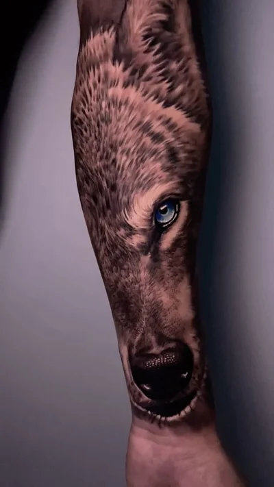 Sullivan Tatuagens tattoo 036