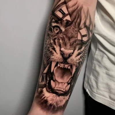 Sullivan Tatuagens tattoo 047