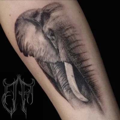 Seven Souls Tattoo tattoo 023