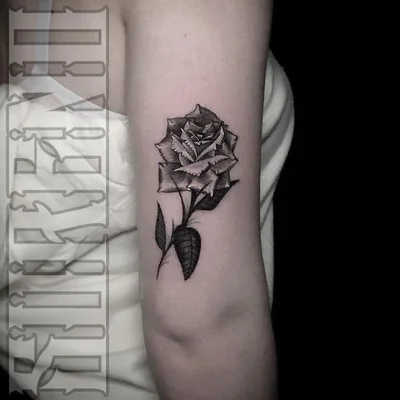 Surenocide tattoo 030