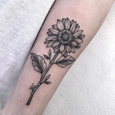 Sophie Rachel Art tattoo 048