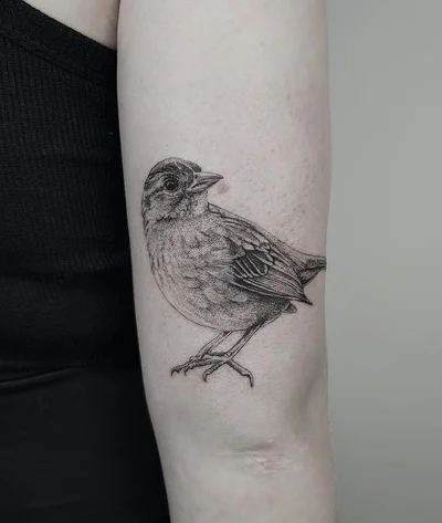 Szelmawroclaw tattoo 025