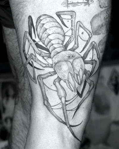 Titukh tattoo 038