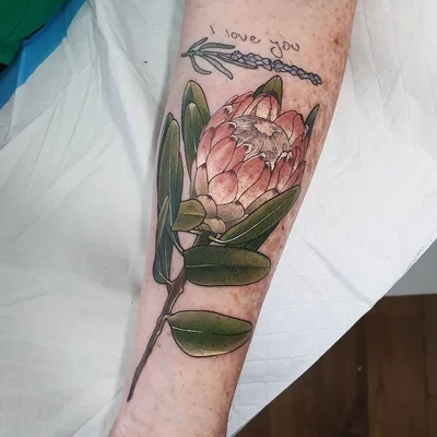 Tahlula Bear tattoo 008