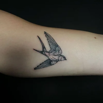 Taj Mirage tattoo 027